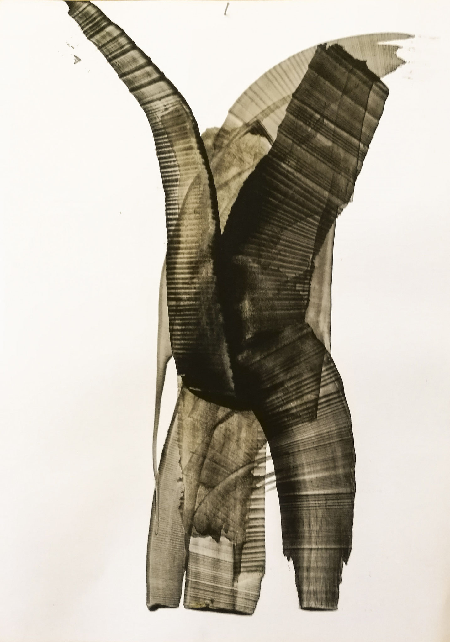 Gérard Leriche